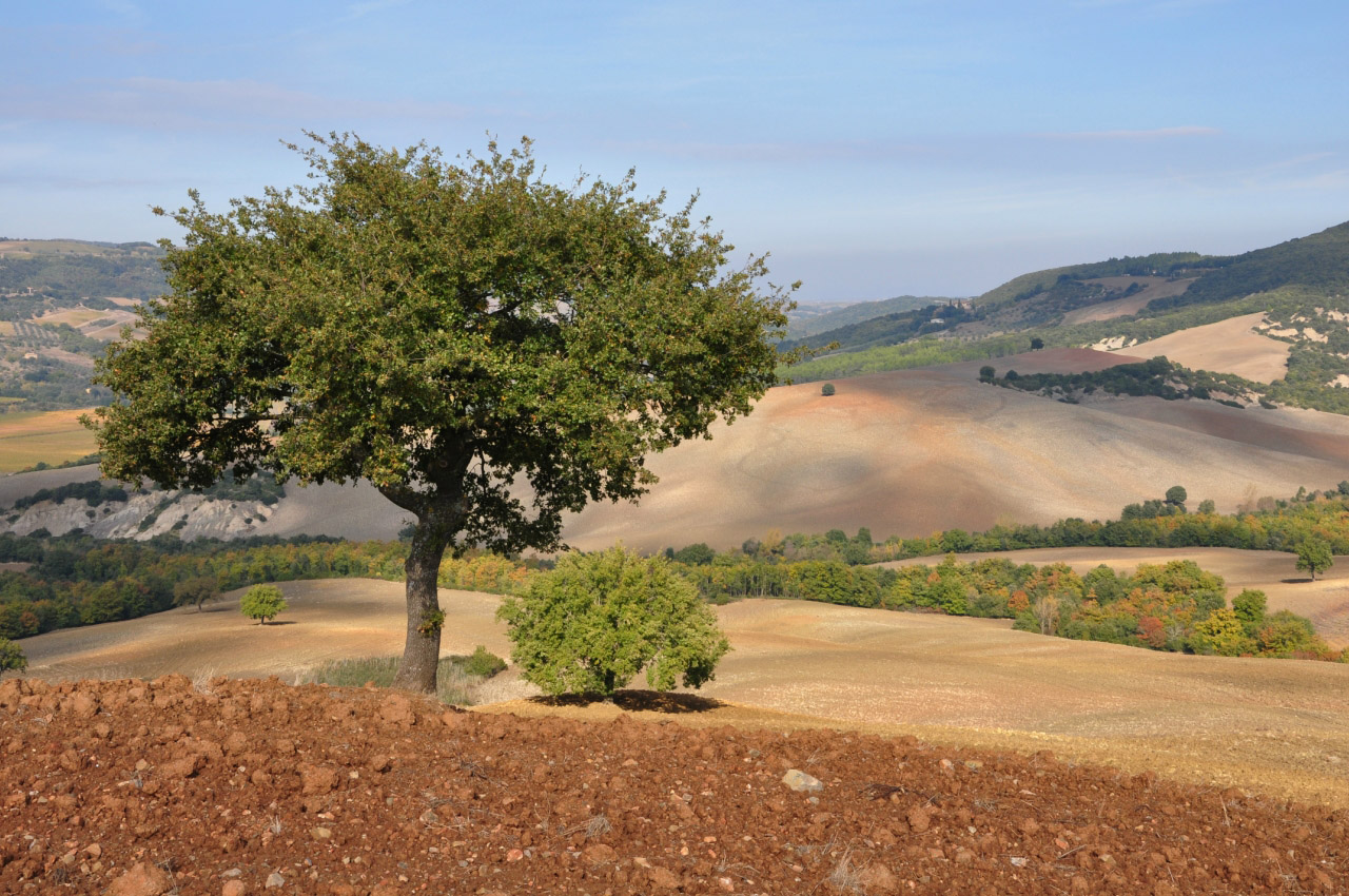 Bagno Vignoni